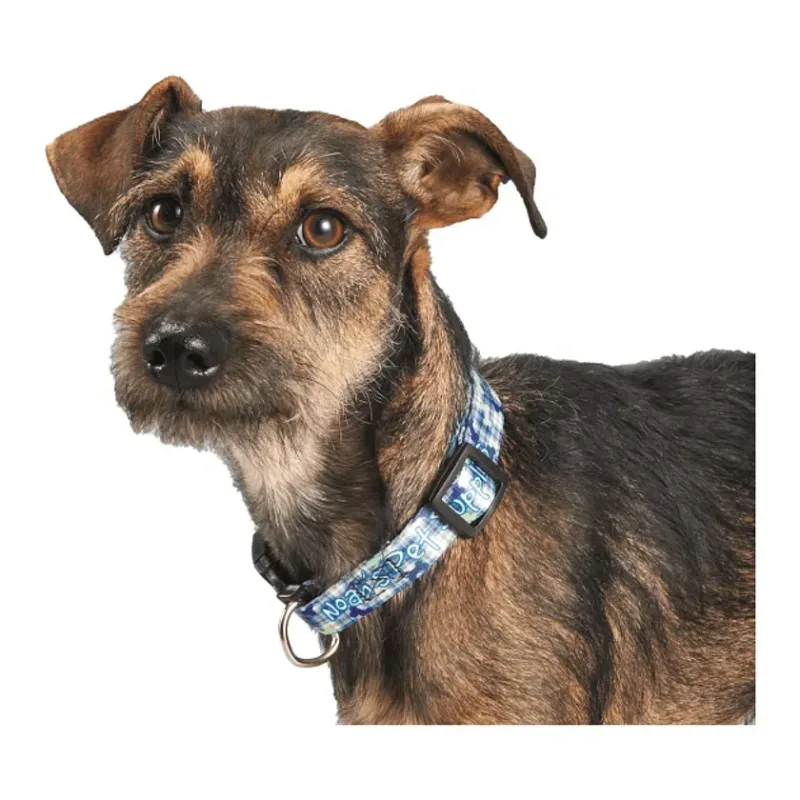 Custom Full Color Pet Collar - 3/4" Wide — view 3