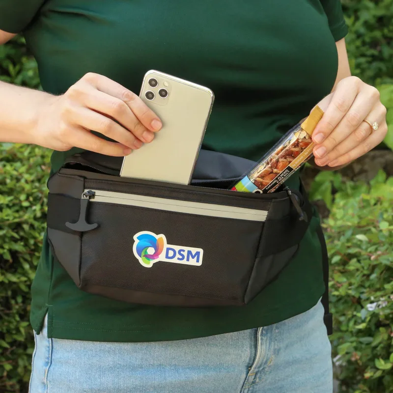 Glacier Peak Waist Pack — view 2
