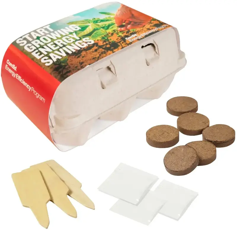 Grow Your Own Wildflower Garden Kit