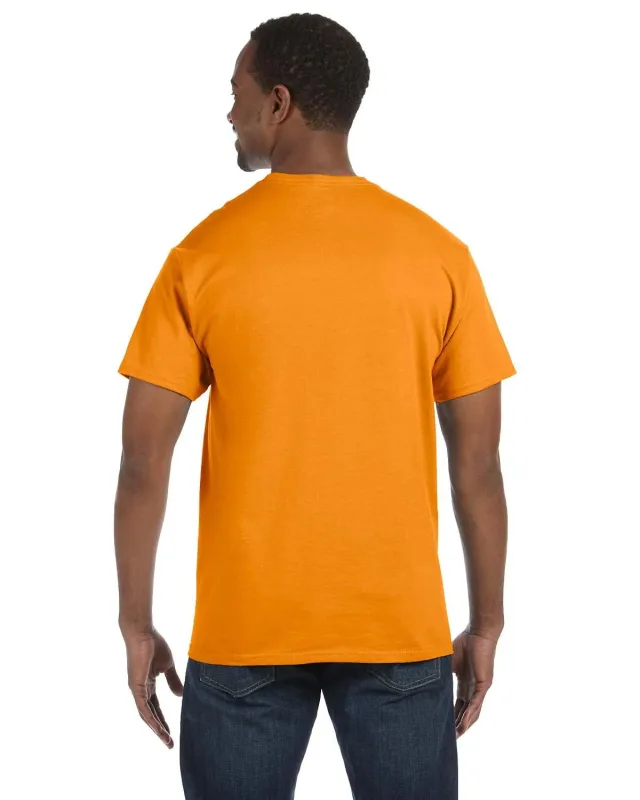 Hanes Men's Authentic-T T-Shirt — view 149