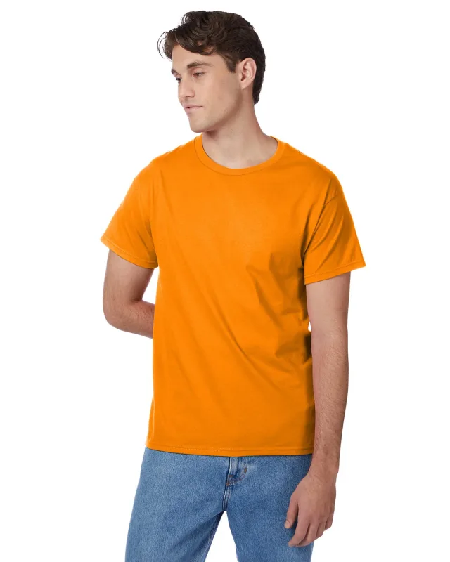 Hanes Men's Authentic-T T-Shirt — view 150