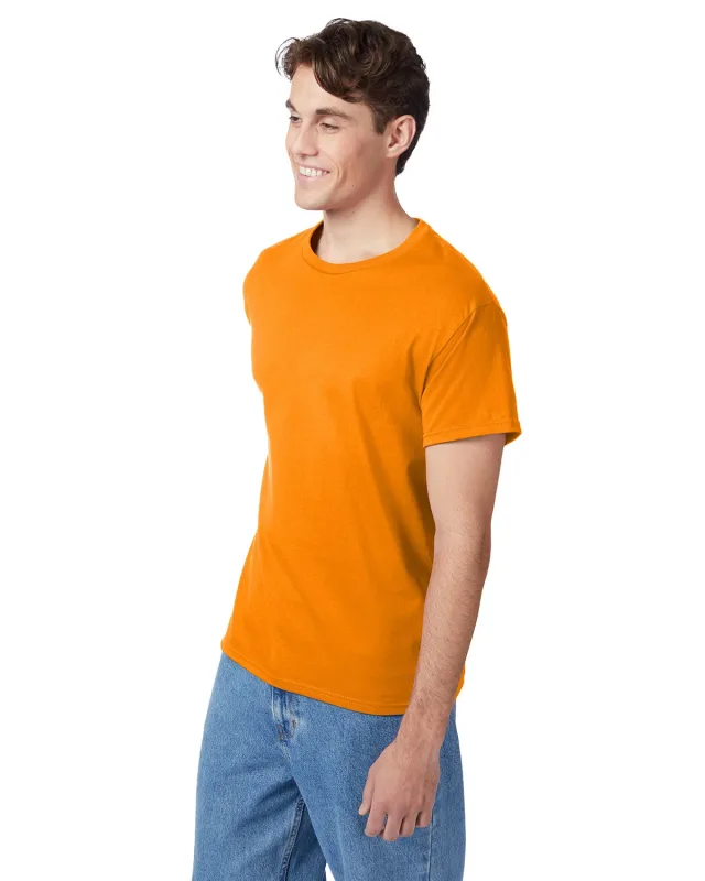 Hanes Men's Authentic-T T-Shirt — view 151