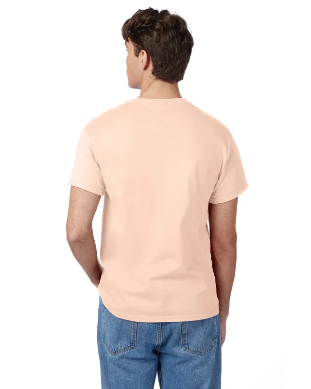 Hanes Men's Authentic-T T-Shirt — view 161