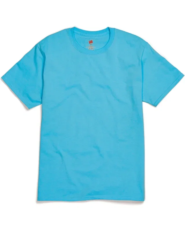 Hanes Men's Authentic-T T-Shirt — view 166