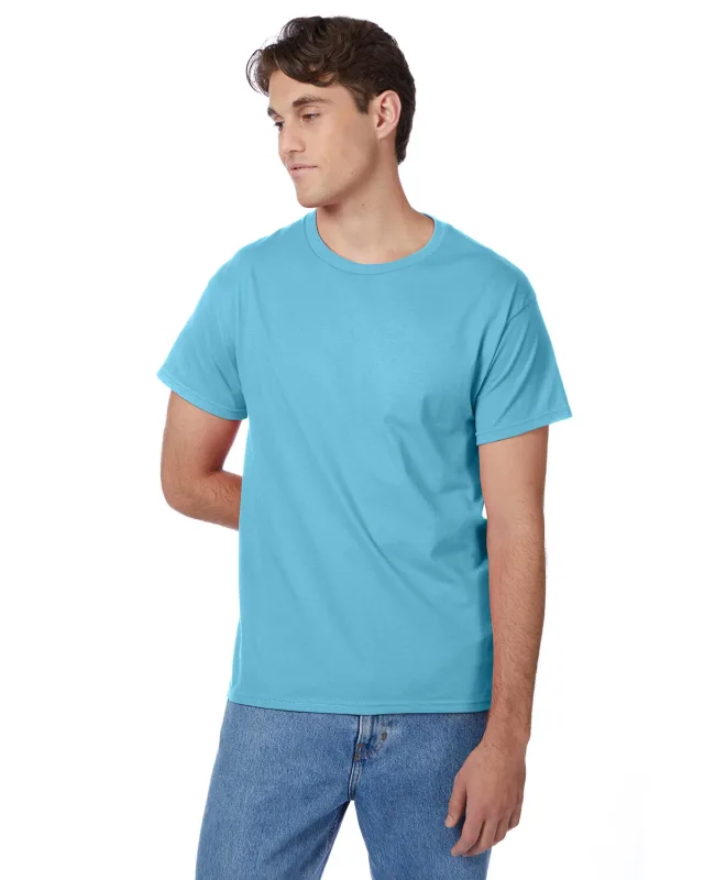 Hanes Men's Authentic-T T-Shirt — view 167