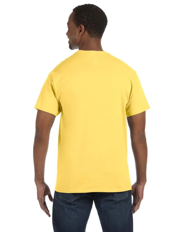 Hanes Men's Authentic-T T-Shirt — view 33