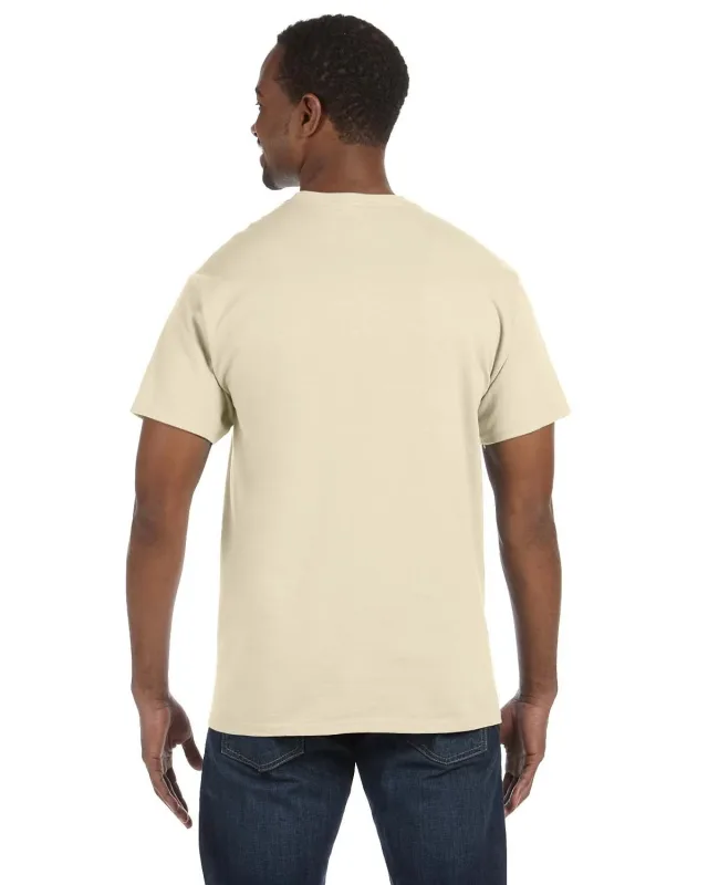 Hanes Men's Authentic-T T-Shirt — view 41