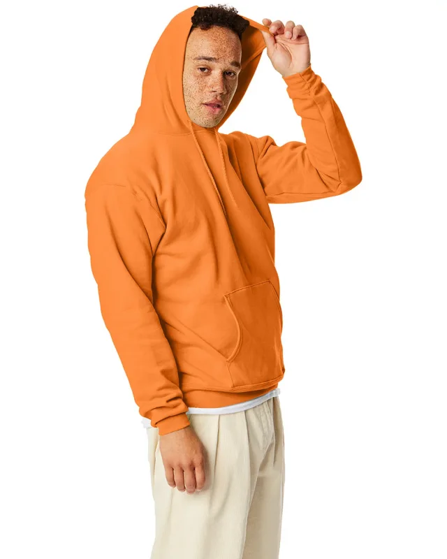 Hanes Unisex Ecosmart® Pullover Hooded Sweatshirt — view 199