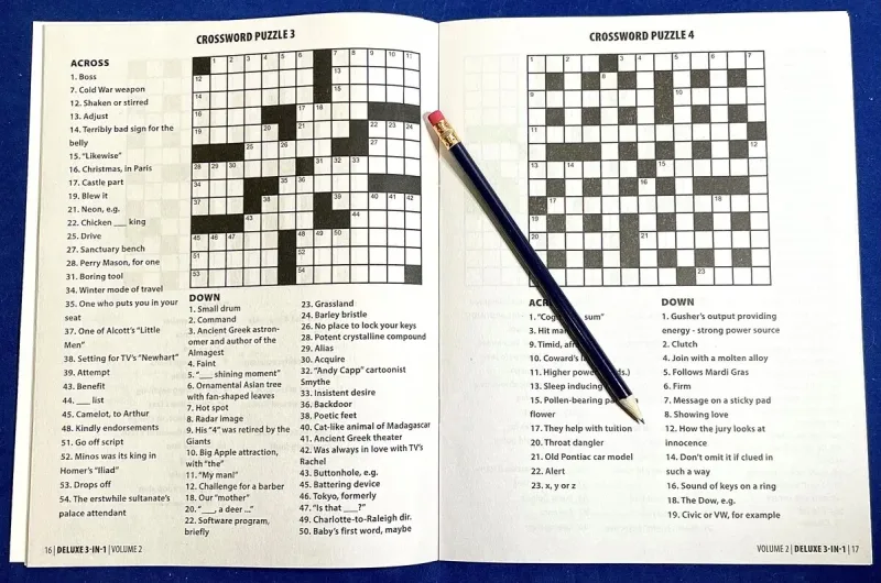 Puzzle Book - Deluxe Large Print 3-in-1 Puzzle Book Volume 2 β view 1