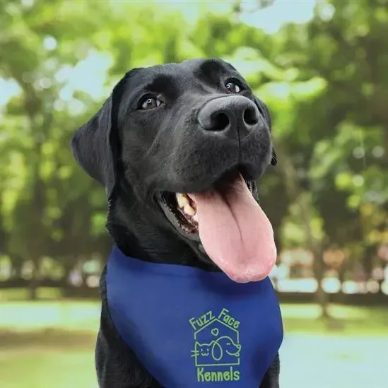 Large Triangle Doggie Bandana — view 13