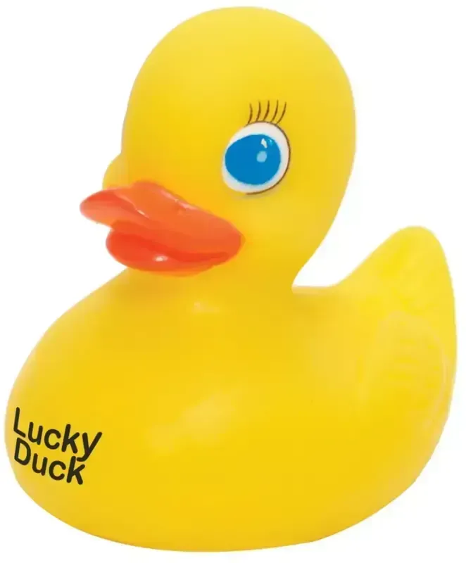 Customizable Quacky Duck