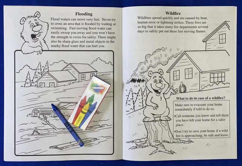 Learning Natural Disaster Safety Coloring Book β view 1