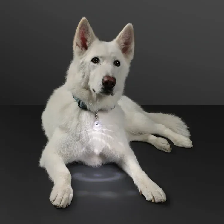 Light Projecting Pet Light and LED Keychain — view 3