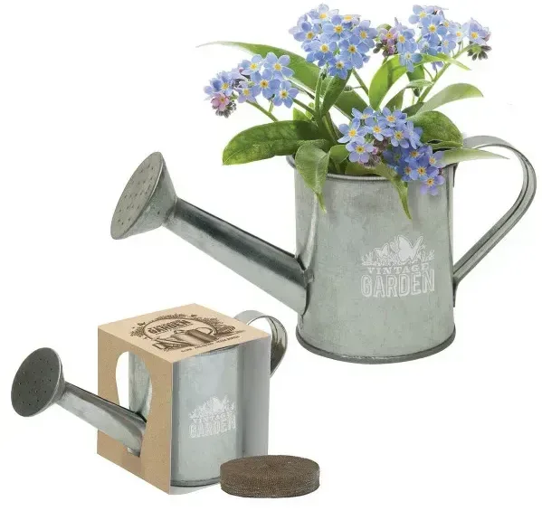 Mini Watering Can Blossom Kit — view 4