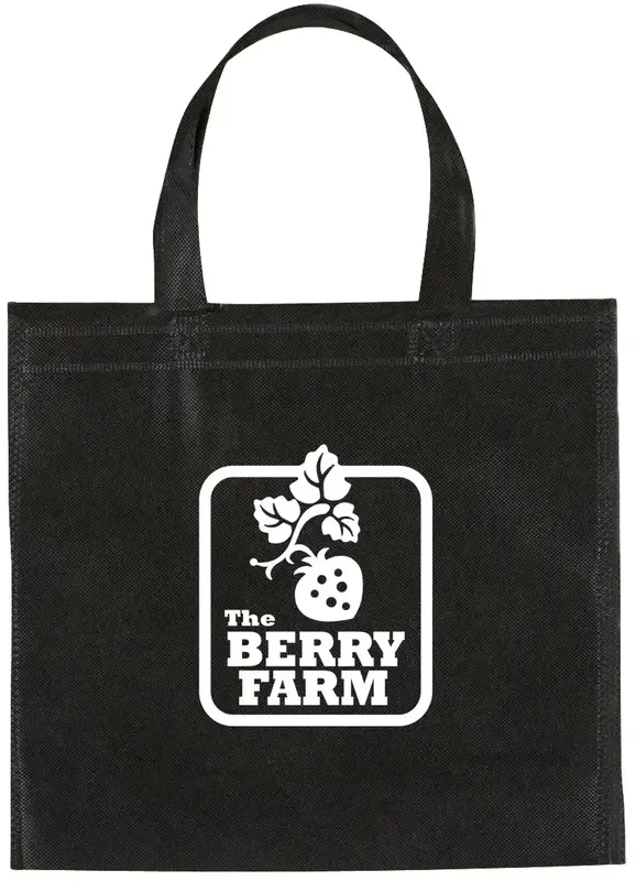 Non-Woven Mini Brochure Tote Bag