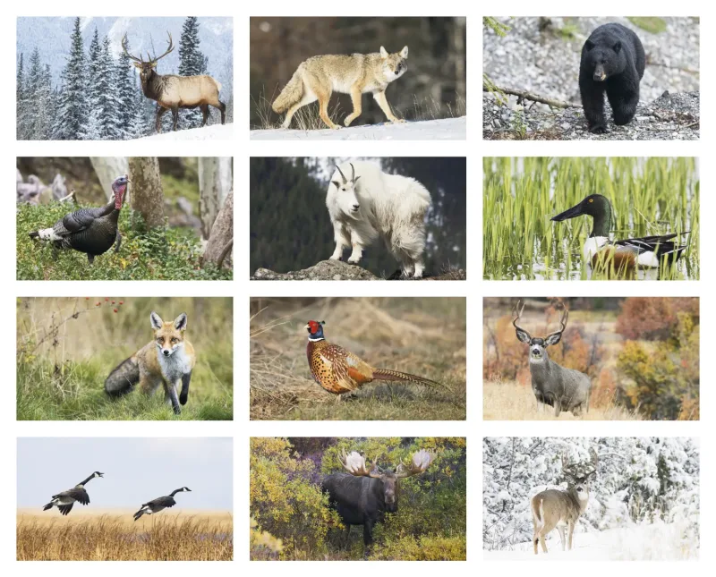 North American Wildlife Calendar — view 2