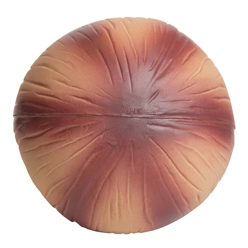 Personalized Onion Stress Reliever — view 7