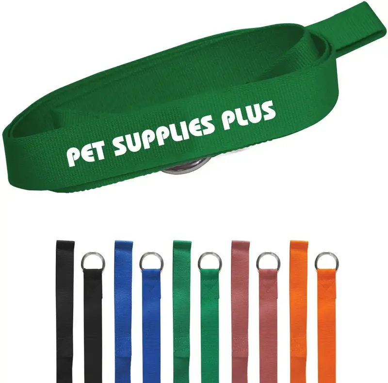 Customizable Paws for Life Slip Leash: Durable Polyester Leash and Collar Combo for Pets