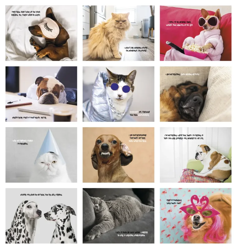 Pets with Attitude - Stapled Calendar — view 4