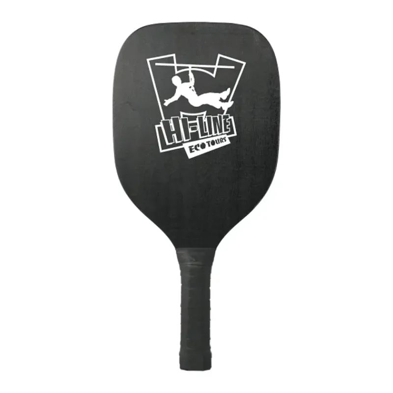 Custom Pickleball Paddle and Ball Set — view 5