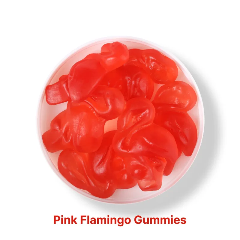 Pink Flamingo Gummies in Jars — view 3