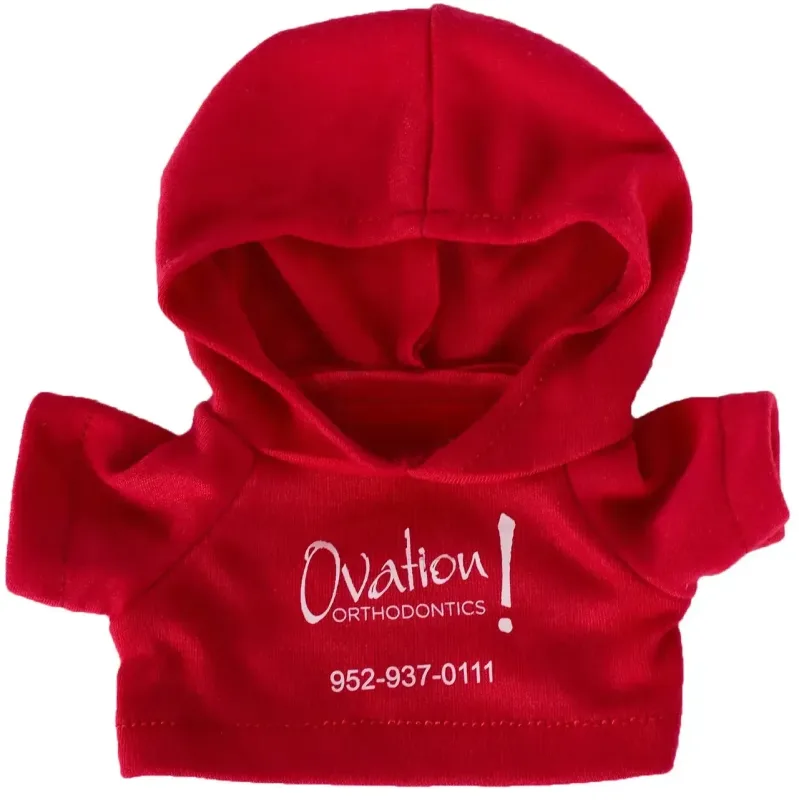 Plush Bear w/ Embroidered Paws and Hoodie — view 11