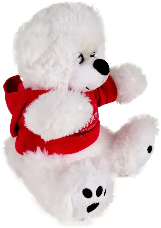 Plush Bear w/ Embroidered Paws and Hoodie — view 9