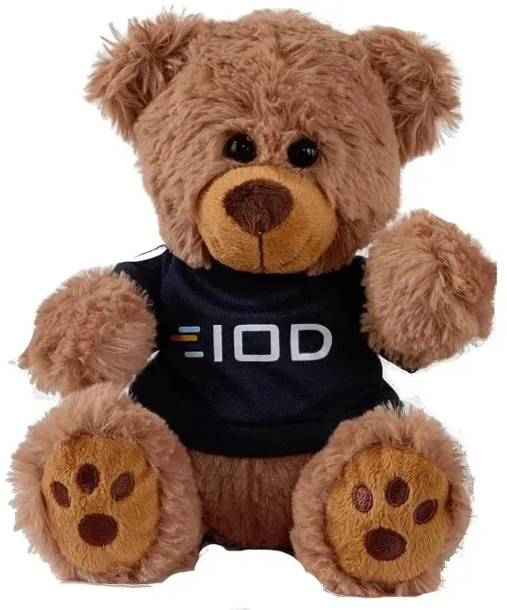 Plush Bear w/ Embroidered Paws and T-Shirt