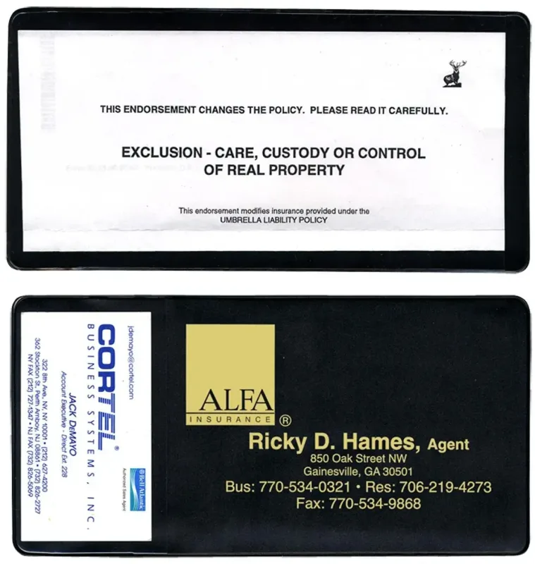 Custom Promo Pocket Folder — view 2