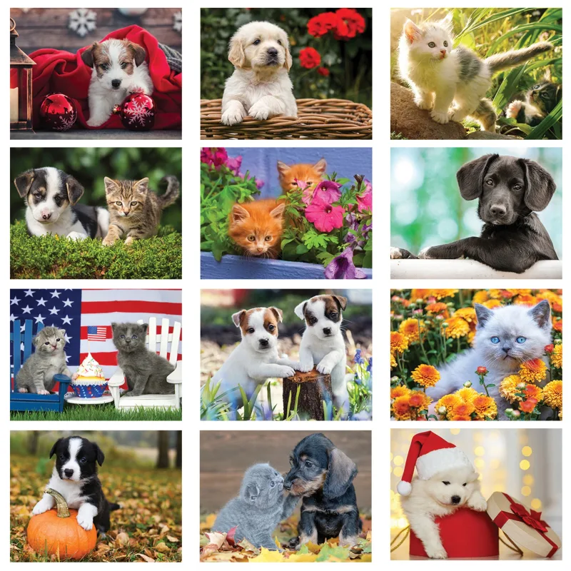 Puppies & Kittens Wall Calendar: 2025 Spiral Bound — view 3
