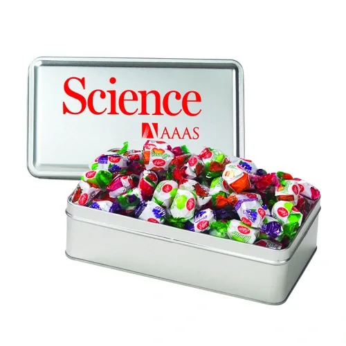 Rectangular Hinged-Lid Metal Storage Tin — view 65