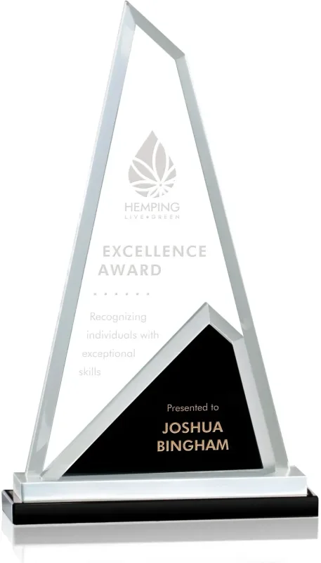 Shaftsbury Award — view 3