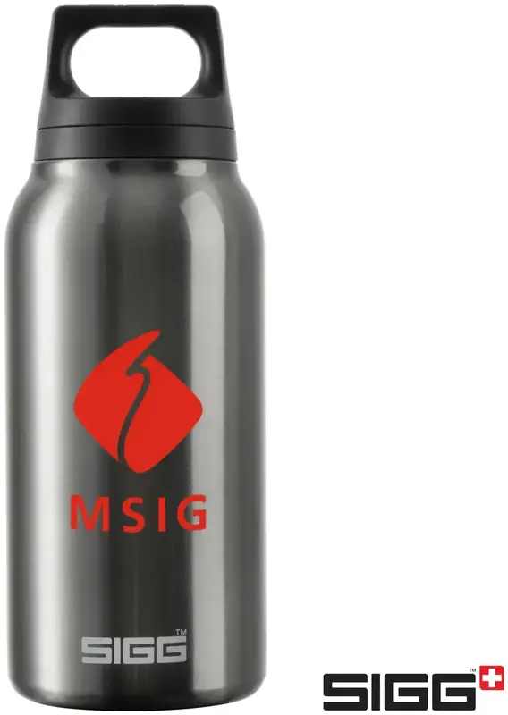 SIGG™ 10oz Hot & Cold Travel Bottle - Eco Friendly, BPA Free, Durable Stainless Steel