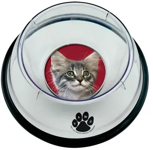 Customized Small Pet Bowl