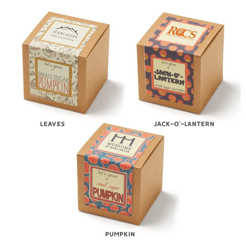 Small Sugar Pumpkin Growables Planter in Kraft Gift Box — view 5