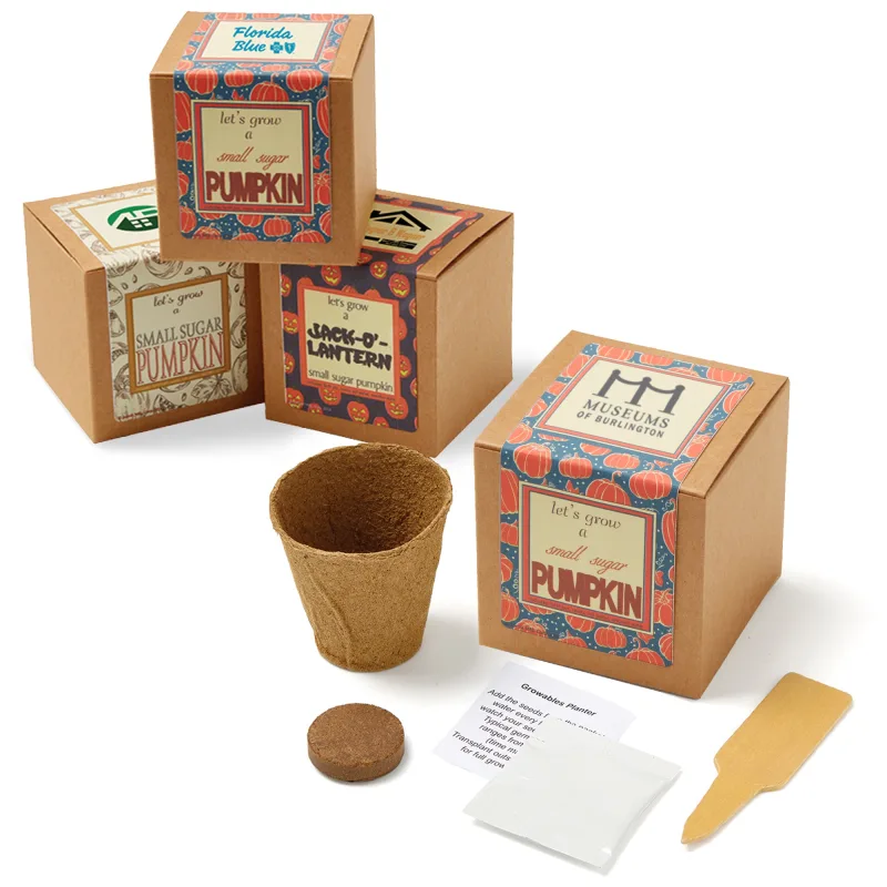 Small Sugar Pumpkin Growables Planter in Kraft Gift Box — view 1