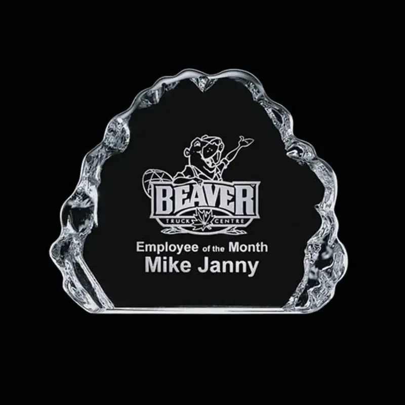 Custom Logo Iceberg Recognition Award - Variety Bases