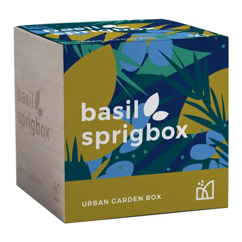 Personalized Sprigbox Basil Grow Kit - EcoSmart® Product — view 4