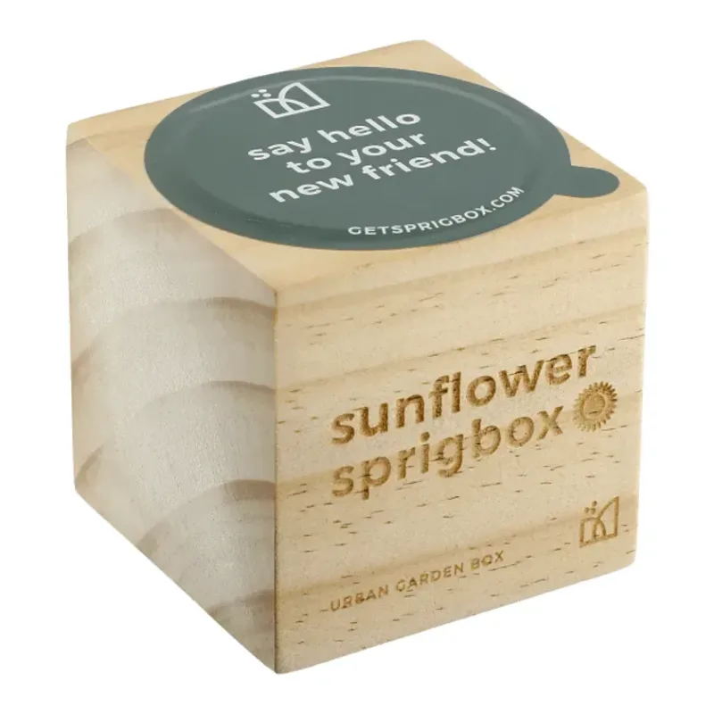 Custom Sprigbox Sunflower Grow Kit — view 3