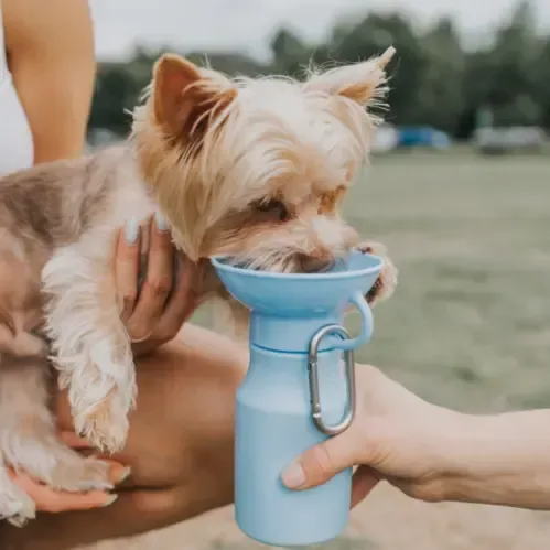 Springer Mini Travel Bottle for Pets (15 Oz) — view 7