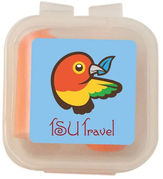 Square Ear Plugs Set with Travel Case