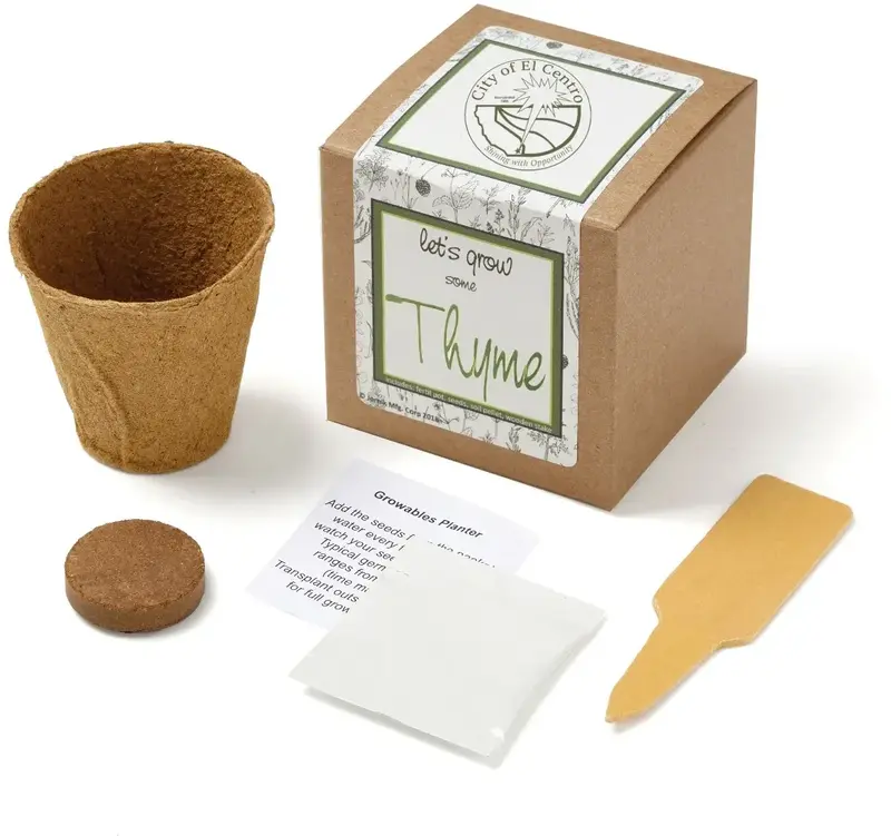 Thyme Growables Planter in Kraft Gift Box