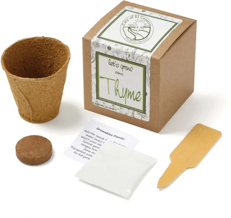 Thyme Growables Planter in Kraft Gift Box — view 2