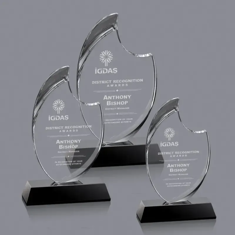 Exquisite Custom Crystal Waldorf Recognition Awards