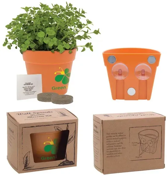 Wall Sprouts Planter Blossom Kit