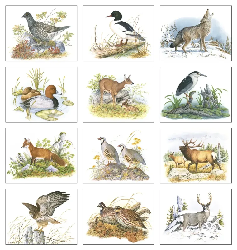 Custom Wildlife Trek - Stapled — view 3