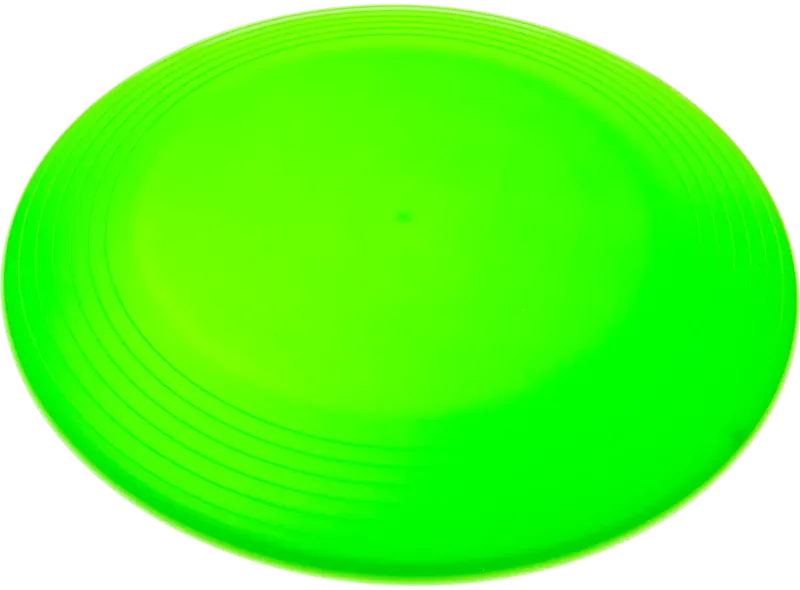 ZingBee Flyer Disc (9 1/4") — view 8