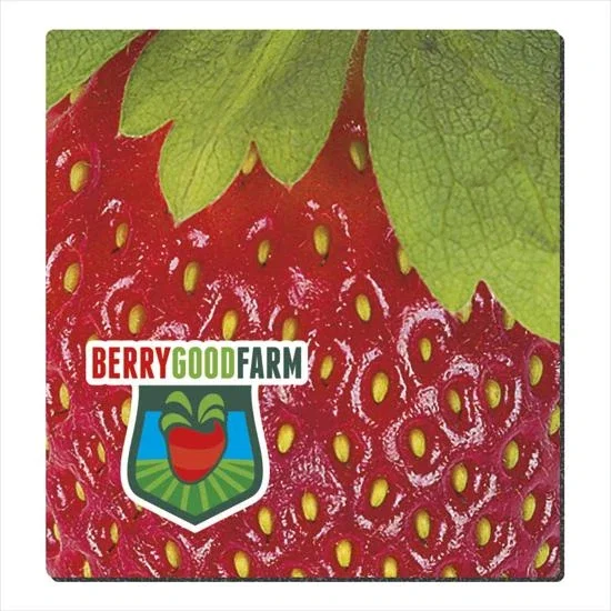 Good Value™ 1/8" Fabric Surface Mouse Pad (7-1/2" x 8")