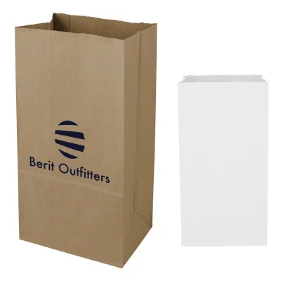 Kraft paper shopping bag with twisted handles, standing upright