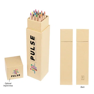 Sixteen colored pencils held in a round natural finish tube